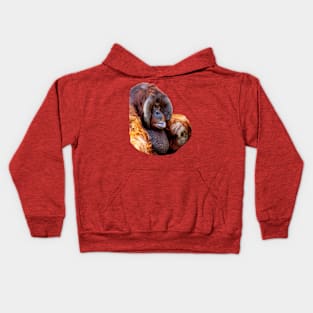 Old Man of the jungle Kids Hoodie